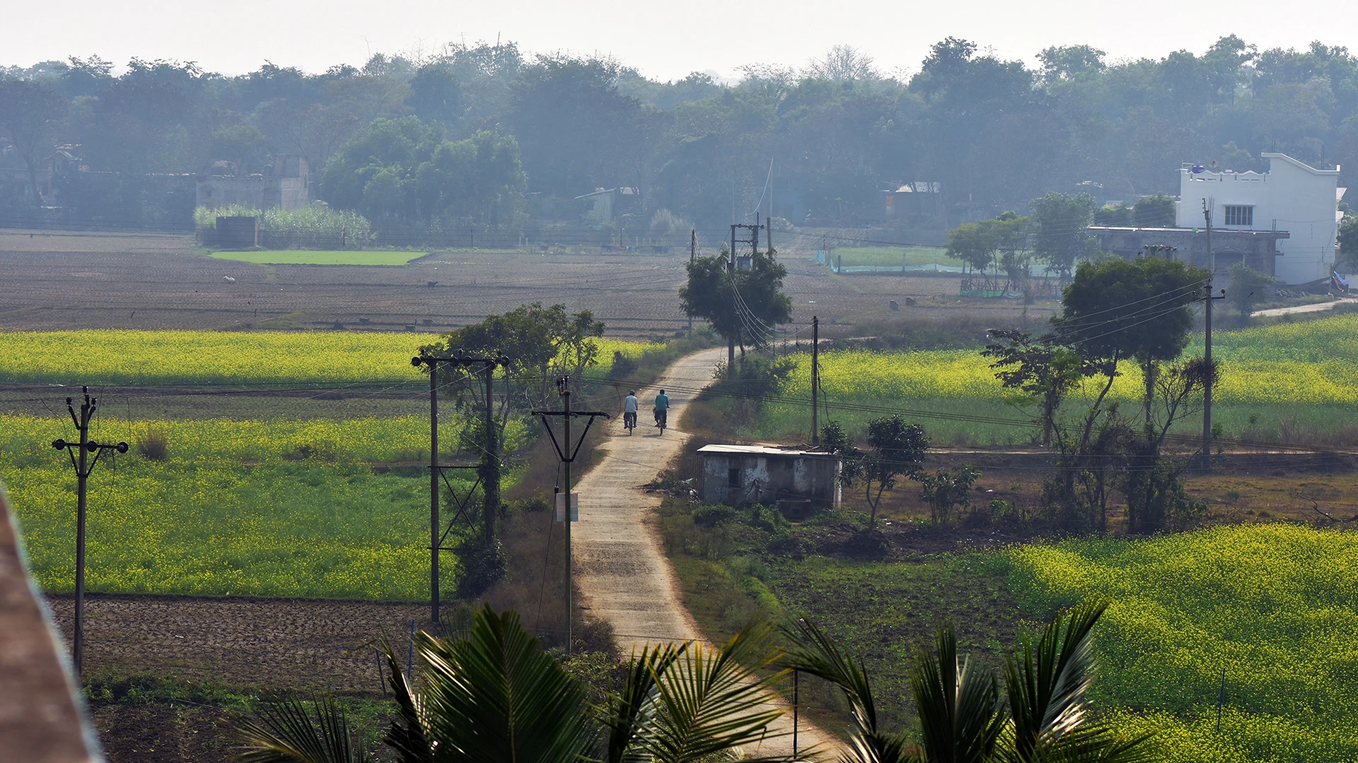 Matiari India