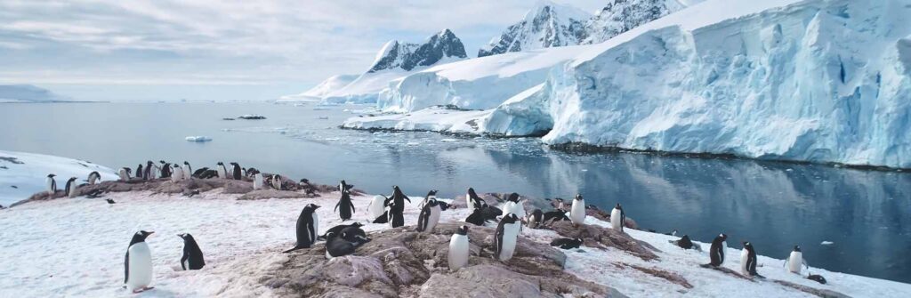 How to plan an Antarctica adventure expedition planning guide