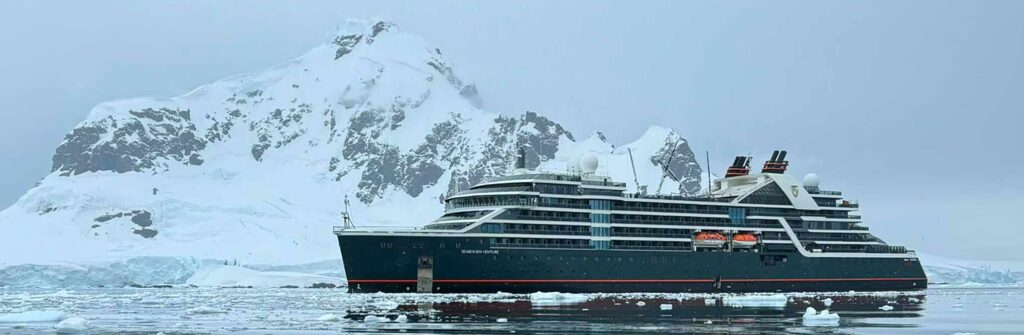 Wildlife in Antarctica